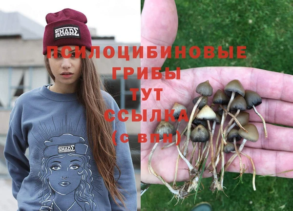 кристаллы Алексеевка