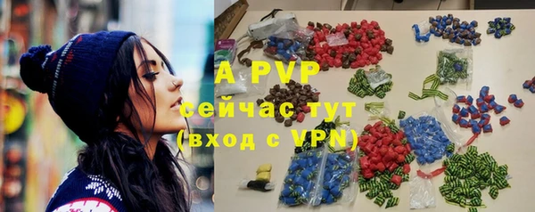 apvp Алзамай