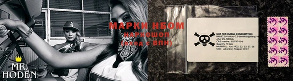 apvp Алзамай